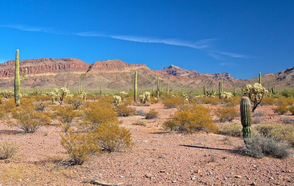 JusticeNikTaMer's tweet photo. I didn't know that about 40% of the United States' territory is desert, arid, or semi-arid.

Bleak landscape. 

#FIFA https://t.co/h079xMSVU5