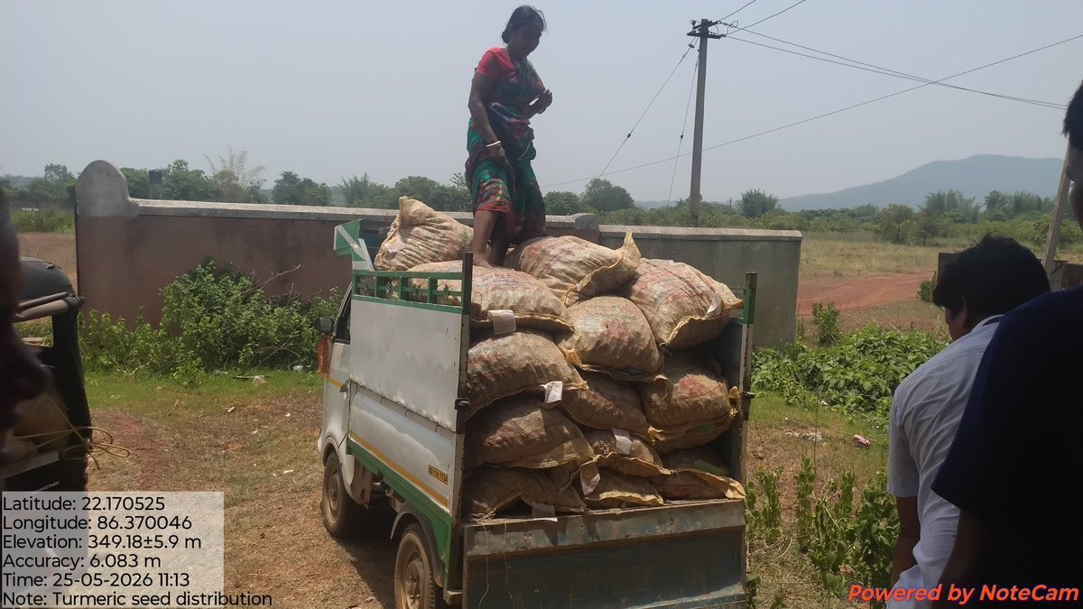 OSSCLtd's tweet photo. Boost agricultural yield with Certified Turmeric Rhizomes from OSSC Ltd.! Delivering premium Roma &amp; Surama varieties across Odisha districts for high-quality, disease-resistant crops. Empowering farmers with superior seeds for a golden harvest. https://t.co/VorZdAVf7w