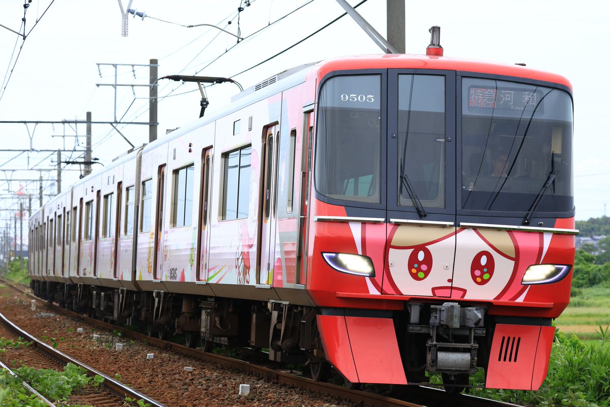 Kansaiman3's tweet photo. 336レ　9505F
あさドレラッピング列車

#meiun
#あさド列車
#あさどれっしゃ https://t.co/kwogBVhMgB