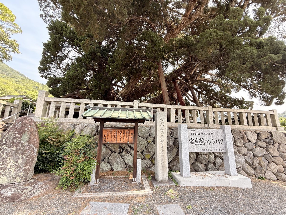 everydaywitho3's tweet photo. Shodoshima หาดสวยน้ำใส  ดูการทำโชยุ ได้กลับมาฟรีขวด5555 ศาลเจ้า โอลีฟพาร์ค ขี่ไม้กวาดเปนแม่มดน้อยกิกิ #小豆島 https://t.co/K6yQ8UXOFS