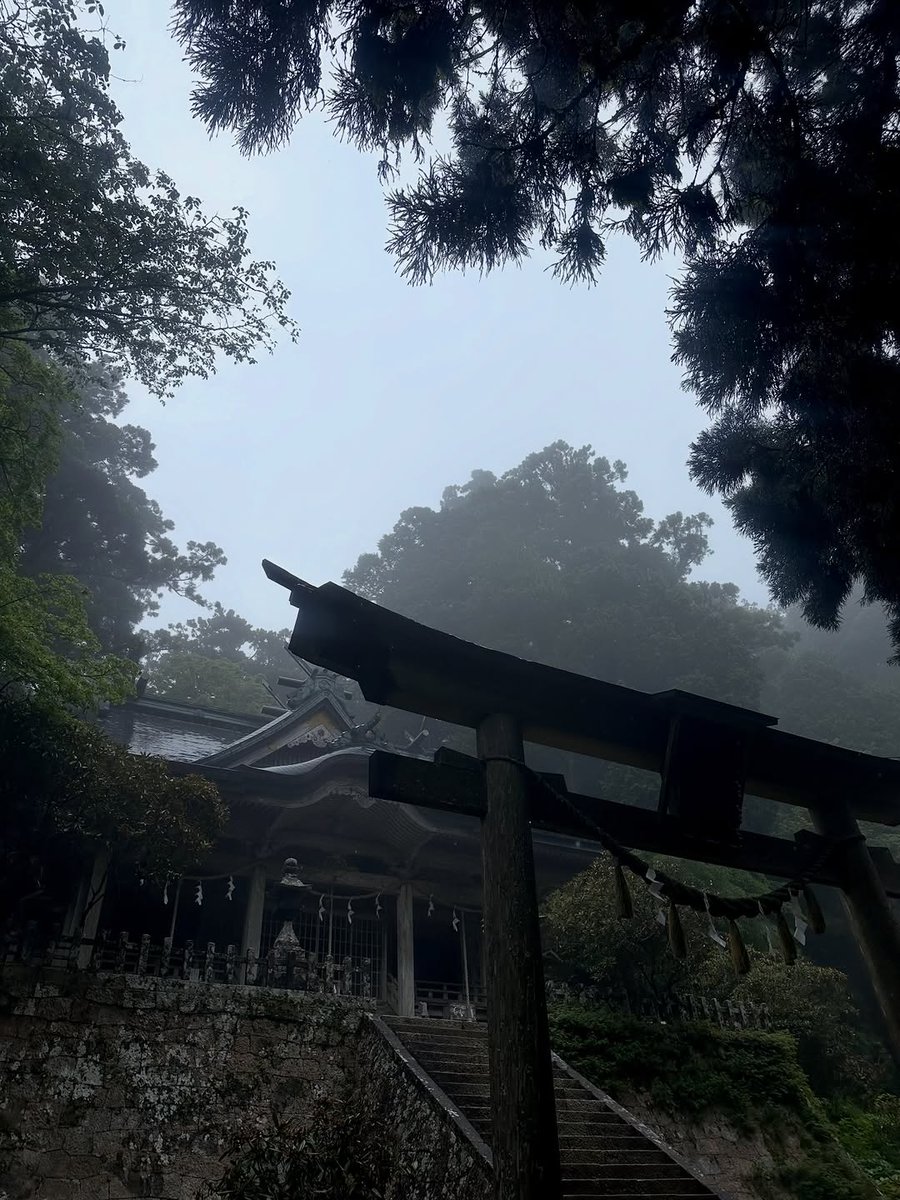 chankao_129's tweet photo. .
奈良県にある玉置神社と宝冠ノ森⛩️🌳
.
呼ばれた人しか行けないって言われているけど
それは怖い意味ではないんだよ☺️🪞
.
玉置神社は
『綺麗な自分だけ持っておいで』
じゃなくて
『闇も弱さも全部持っておいで🌗その上で立ち直ろう』
っていうかなり肝が据わ https://t.co/zkmQ88FLoj