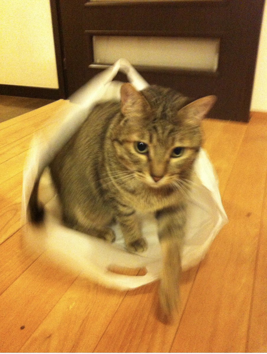 07202022day's tweet photo. 2012年のﾆｬｰさん https://t.co/S3jXmpDwcV