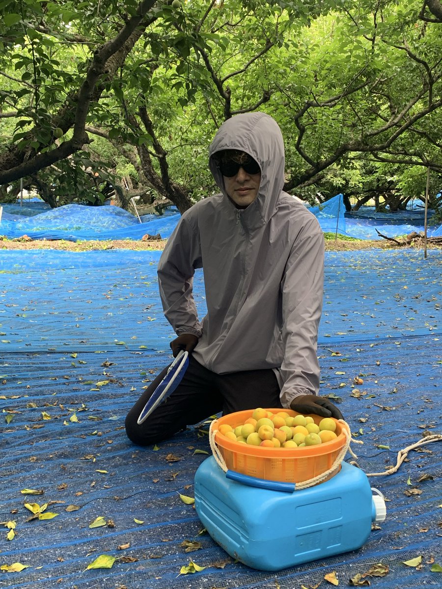 川島ケイジOFFICIAL tweet media