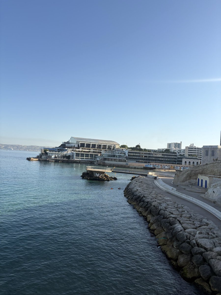 chaoui du douar tweet media