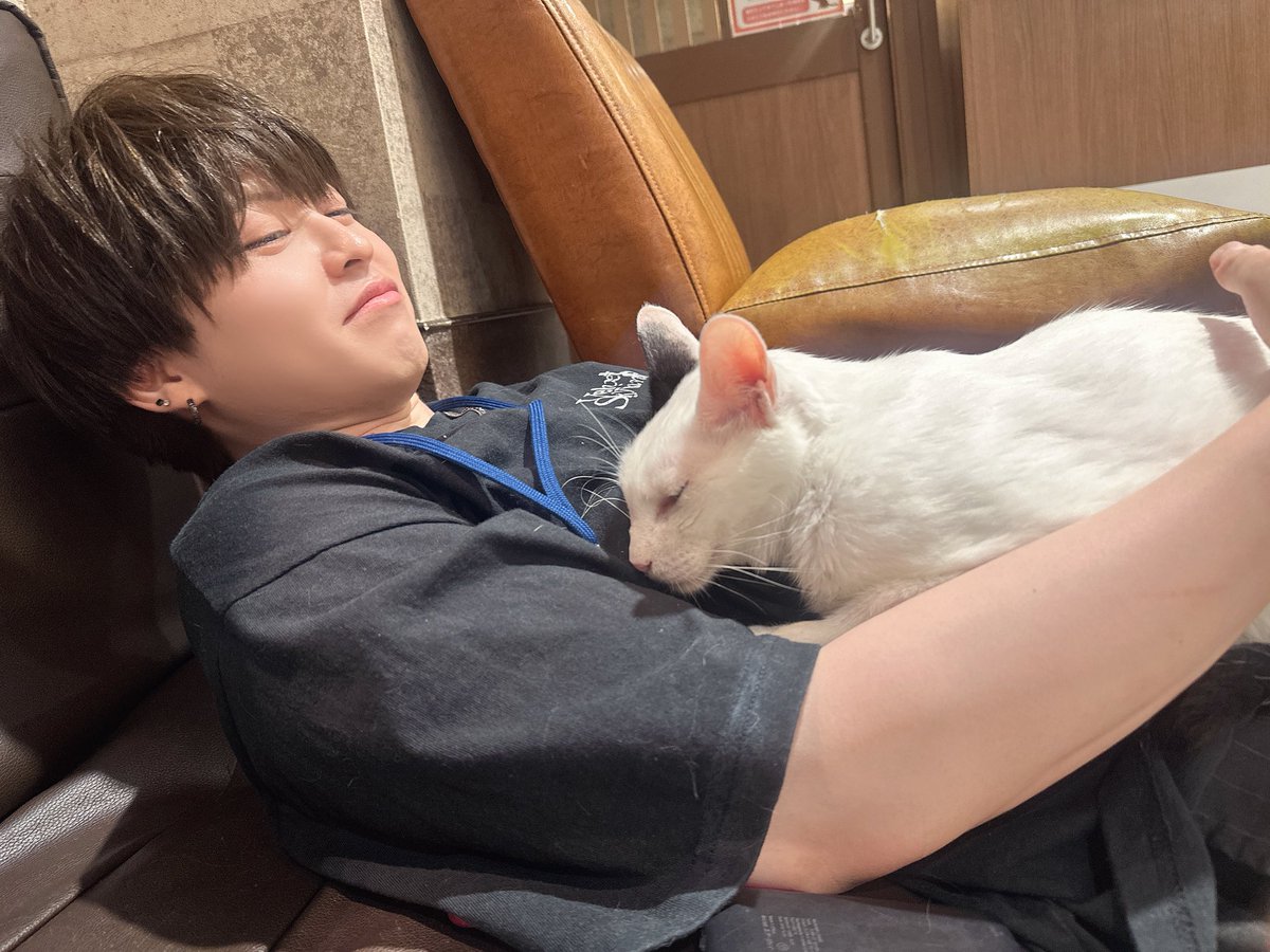 taiga09m's tweet photo. 仲良しでした
#猫カフェ https://t.co/R9BbOjzF4C