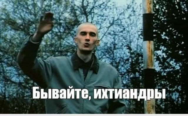 Свинопёк 🇿 🇷🇺 tweet media