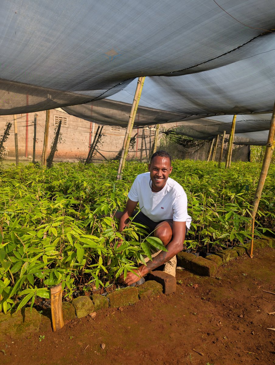 karatungahoney's tweet photo. Planting the future in Karamoja.

Our first coffee and bamboo demonstration plots are taking shape, creating opportunities for communities while supporting conservation and sustainable livelihoods. 

#karatungahoney #discoverkaramoja #Karamoja #CoffeeFarming  #Conservation https://t.co/XflNKOSOtv