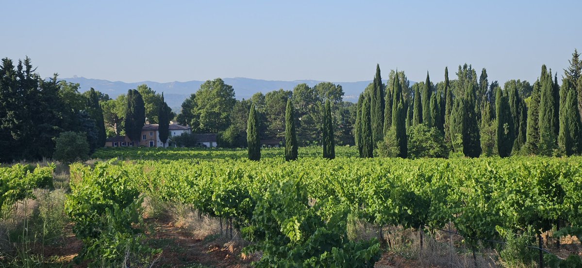 Marcelprovence's tweet photo. Ce matin https://t.co/32eCplL3e6