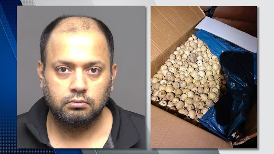 maybedanielleee's tweet photo. "I knew this day would come." - Vaibhav Saxena, 40, a native of India and citizen of Canada. 

"Homeland Security investigators say a Canadian truck driver, using a seemingly simple handoff routine at a St. Clair County gas station, was caught moving large boxes of suspected dried opium poppy pods across the border.

On June 3, federal prosecutors charged Vaibhav Saxena, 40, a native of India and citizen of Canada, with smuggling goods from the United States -- a 10-year felony.

After his arrest, investigators said Saxena admitted to picking up two cardboard boxes containing “tea leaves” from the Walgreens in Port Huron. Saxena allegedly said he put the boxes in his commercial vehicle and tried to avoid paying duty on its contents.

Saxena also allegedly told agents he had been doing the same routine for the last seven to eight months and had completed numerous similar events without being detected. Saxena also allegedly said several times during the interview with federal investigators that he “knew this day would come.”

Shipment records reviewed by investigators showed that since July 2025, Saxena received 34 other similar packages from Spain to an address in Port Huron, the feds said."