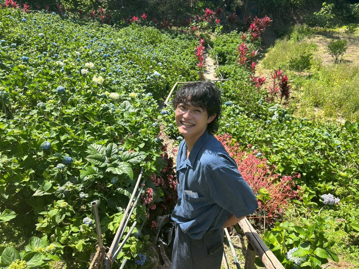 kouta_oua's tweet photo. 早すぎた紫陽花 https://t.co/JoD8IUDc28