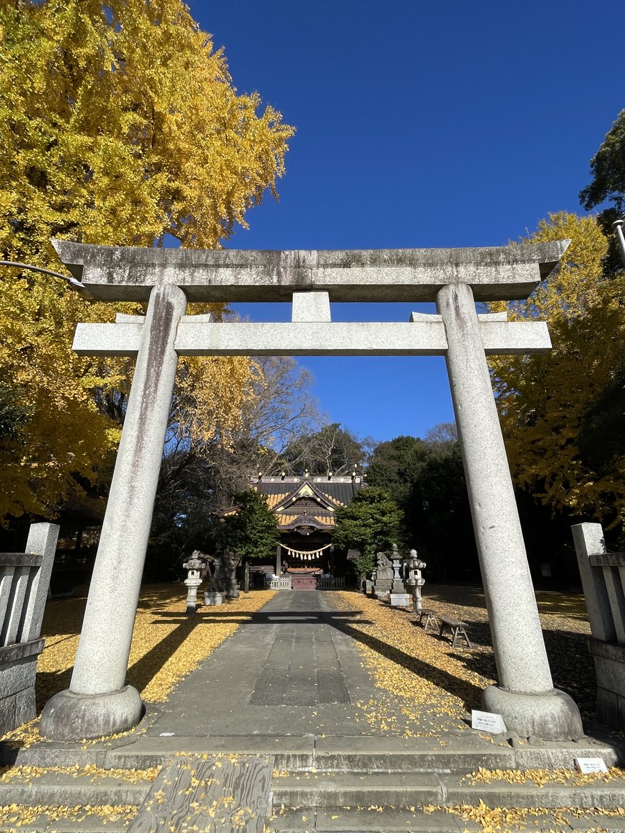 reiyers_cos's tweet photo. 🌟関東でイチョウの撮影をするなら”ここ”🌟

埼玉県 加須市
神社といちょう 撮影イベント
2026年
11月23日(月祝)
11月28日(土)
由緒ある神社にある大きなイチョウの木々が、あたりを黄色に染めた中での撮影はきっと感動すると思いますよ😊
詳細：https://t.co/TJX2JZceRN

#玉敷神社
#麗yers
#reiyers https://t.co/d3OoIeNL3b