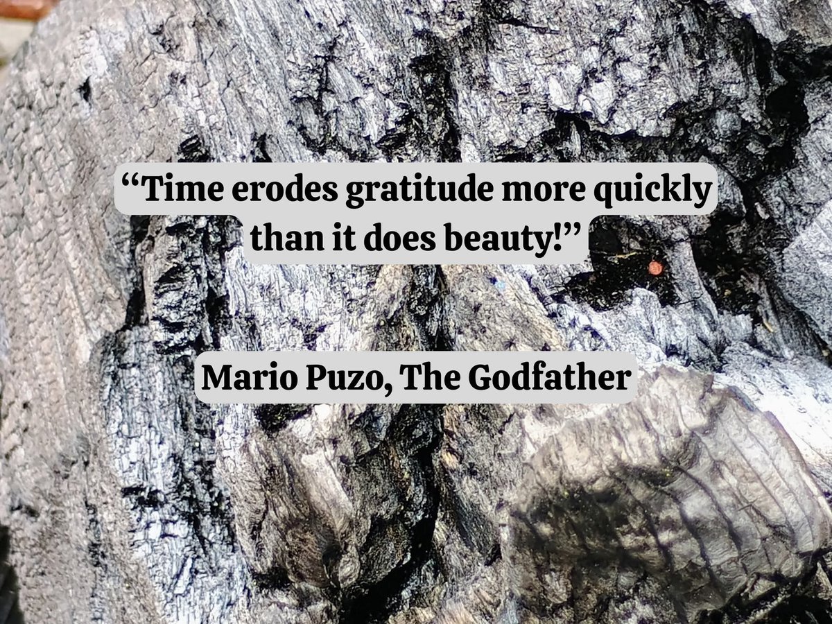 DanMillhouse's tweet photo. A Mario Puzo quote from The Godfather.

Photo by Daniel Millhouse

#Quotes #MarioPuzo #TheGodfather #BooksByDanielMillhouse #JournalsByDanielMillhouse https://t.co/Nuy9SRvrqr