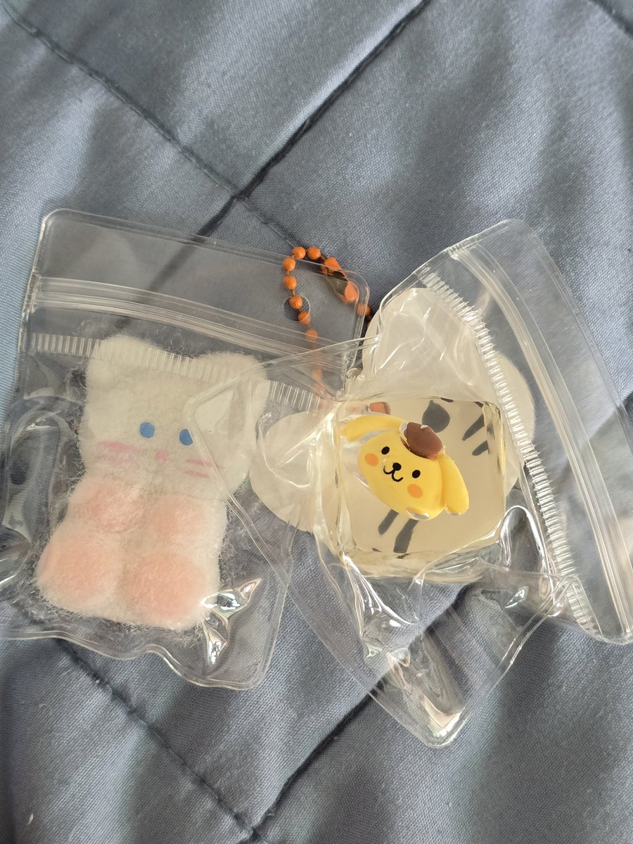 9Oring9's tweet photo. 쪼꾸만 말랑이 삿슴 말캉존득해 https://t.co/xsrW8lrnPV
