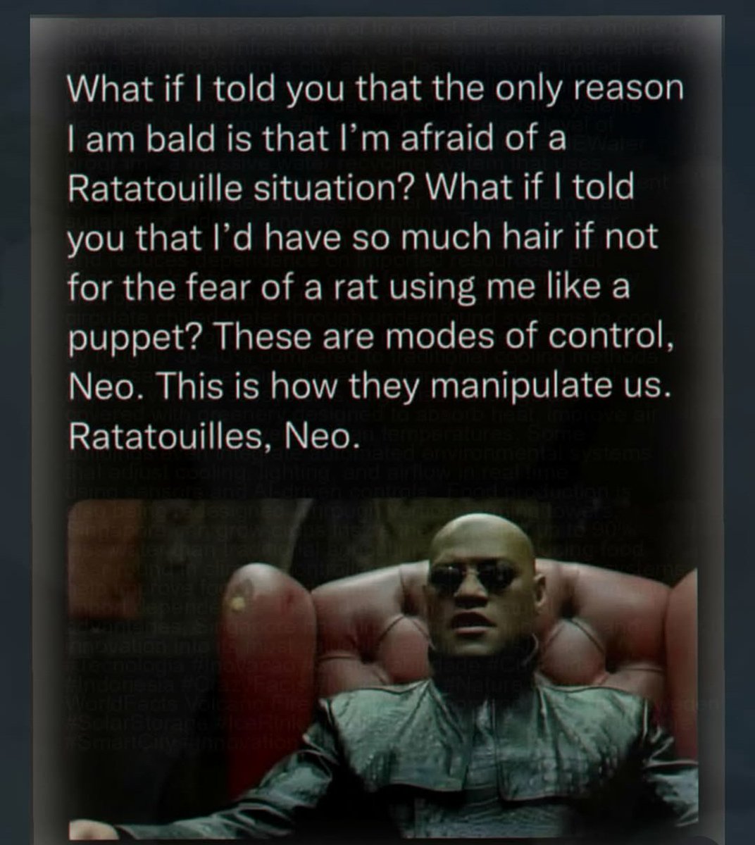 Cinema_Loco's tweet photo. Well, the fifth Matrix finally has its plot. 

@TheMatrixMovie
@Disney
@Pixar
@pattonoswalt

#cinemaloco #FilmTwitter #FilmX #TheMatrix #TheMatrixReloaded #thematrixrevolutions #TheMatrixResurrections #neo #KeanuReeves #morpheus #LaurenceFishburne #keanu #ratatouille #disney https://t.co/p4wgrniO3q