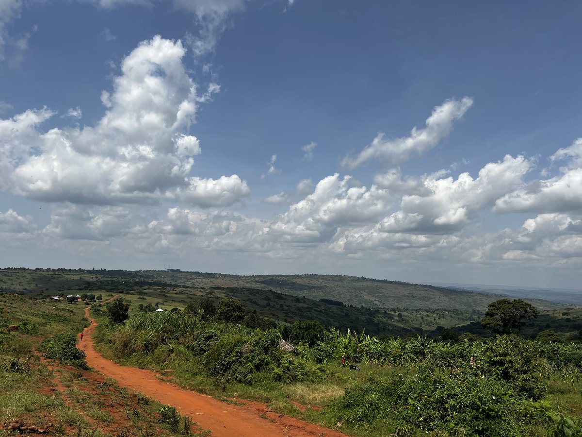 Luo Boy𝕏 🥶🇺🇬 tweet media