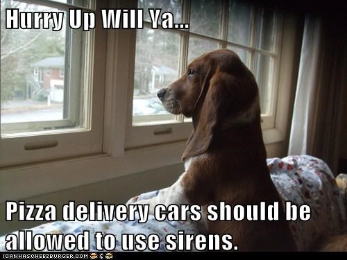 Lunassnacks's tweet photo. Get those orders in...your dog needs our treats. Spoil your puppers and help keep America running strong. https://t.co/50pctmiZqc https://t.co/ZOayChJ1Ho