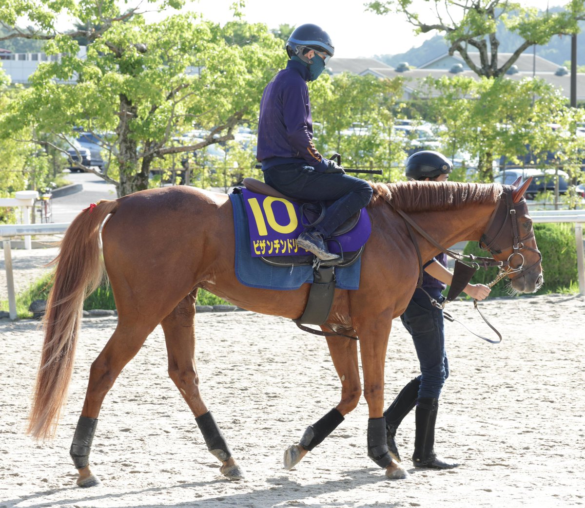 sponichi_sakata's tweet photo. 宝塚記念まであと４日
最終追い切りにむかう
＃ビザンチンドリーム です
追い切りはＣＷコースで
６F85秒０～１F12秒０でした https://t.co/0JtSQH6Tk2