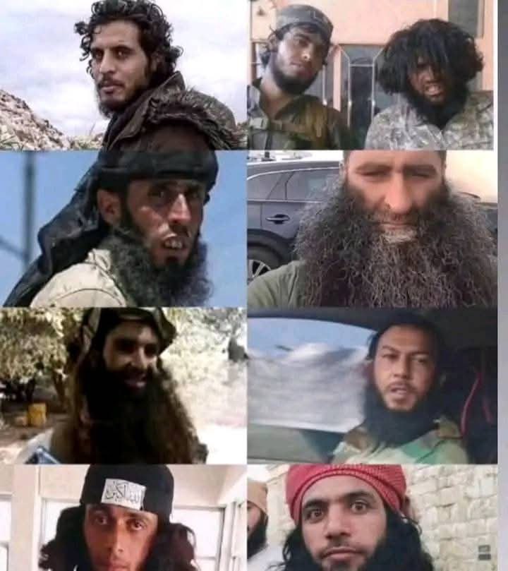 Albasri1234's tweet photo. @najehalmezan اطفال سوريا التي قتلتهم ايران!

انتم البعثية بجهة والحقيقة بجهة اخرى
قسما بالله وحوش الغابات اكثر امانا منكم
حقد وتكفير وعملاء وصهاينة اكثر من الصهاينة انفسهم https://t.co/kxCKpGflvL