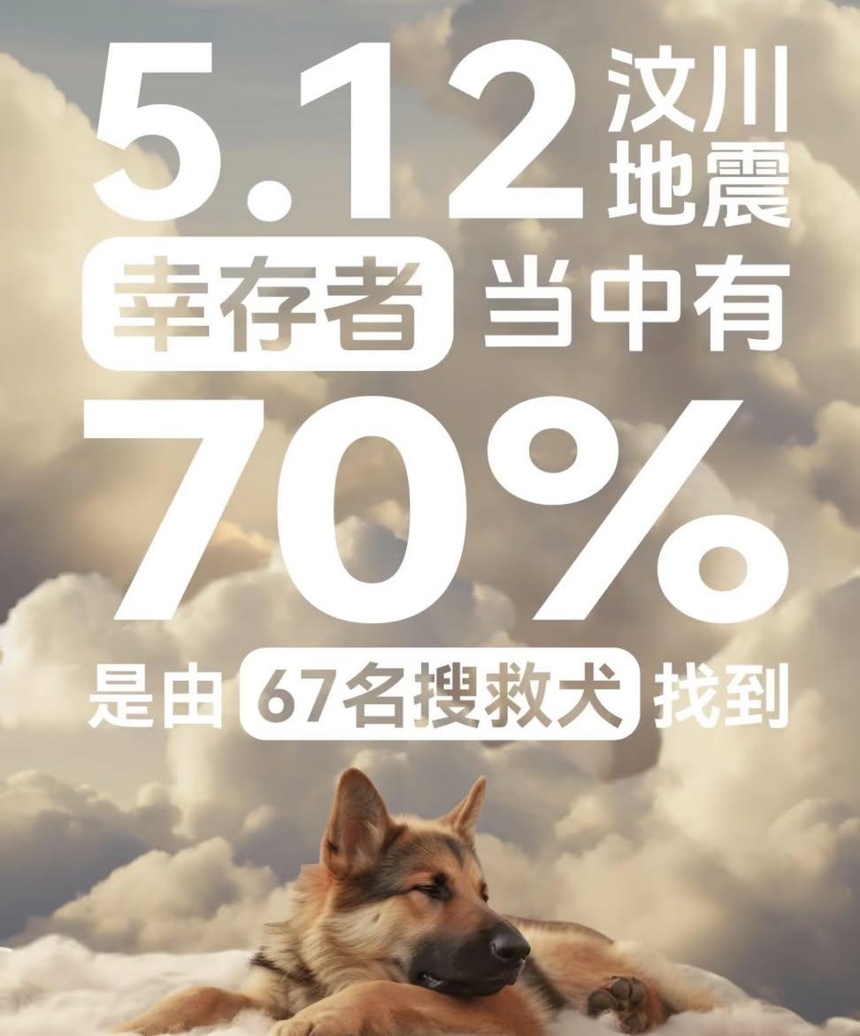 iamacake888's tweet photo. 你们没有心 https://t.co/3r5zuNghs1