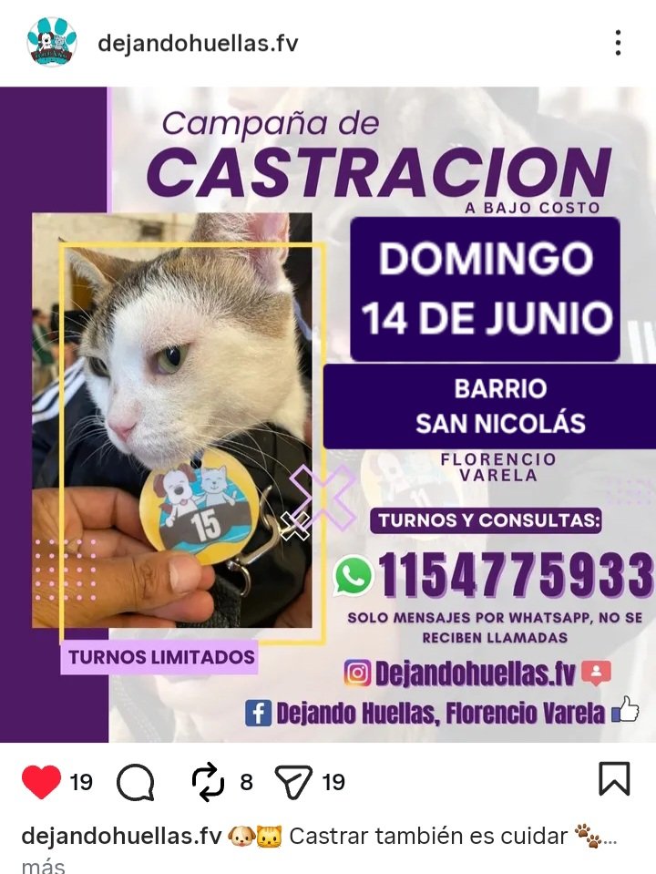 protegealanimal's tweet photo. FLORENCIO VARELA 
#FLORENCIOVARELA #VARELA #FCIOVARELA #VILLASANTAROSA #BOSQUESNORTE #GDORJULIOACOSTA #ZEBALLOS #BOSQUES #DANTEARDIGÓ #INGALLAN #VATTEONE #KM26 #BERRAYMUNDO #VILLABROWN #ALPINO #SANLUIS #BARRIOSANNICOLÁS #INGALLAN #LACAPILLA #ZONASUR #GRANBSAS #BSAS #CONURBANO https://t.co/8G87pmLp3q