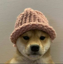 yodacalls's tweet photo. @blknoiz06 @gr3gor14n what about you fav dog in usdc pair?
CExejcGZSEnk4FBsBQa3nMnU1jjCYsjw4x9d7cJ4pump https://t.co/1mq1nh2UWO