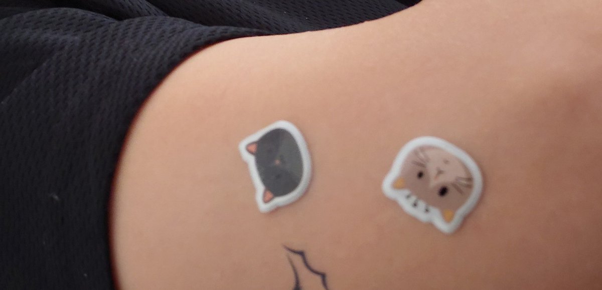 arenr_'s tweet photo. Bugün herkese kedi stickerı yapıştırdm https://t.co/MQ6RTXLux9