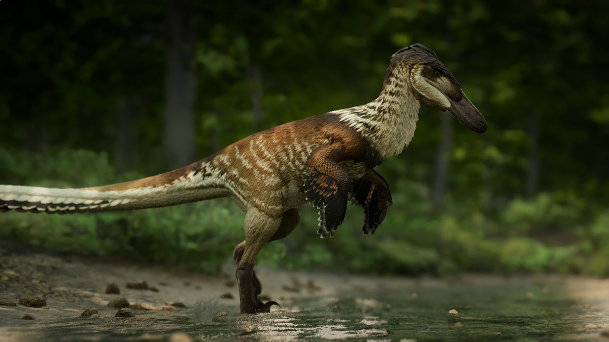 Aerisopteryx's tweet photo. btw I just spend my free time painting dinosaur skins #pathoftitans https://t.co/mE4IpEjQN6