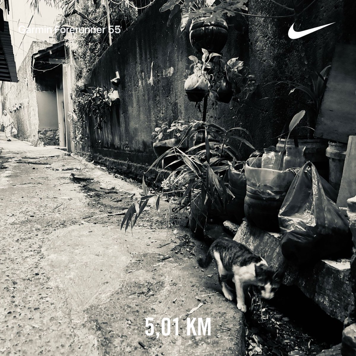 bocahinfo's tweet photo. #5k #nrc #nikeplus #justdoit #runwithhart #ayolari #marilari #pelariindonesia #indorunners #universerunners #indonesiaberlari2026 #StayActive #30daysrunningchallenge #30hariberlari
https://t.co/OVYenjINLv https://t.co/s1Pt3SQjI0
