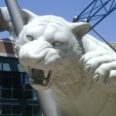 Mtrueblue tweet picture