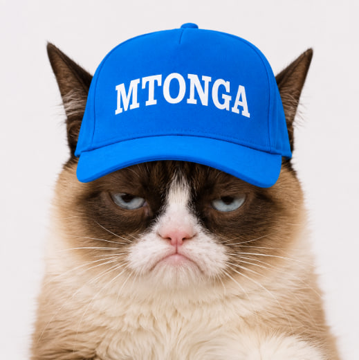 GrumpyCat tweet media