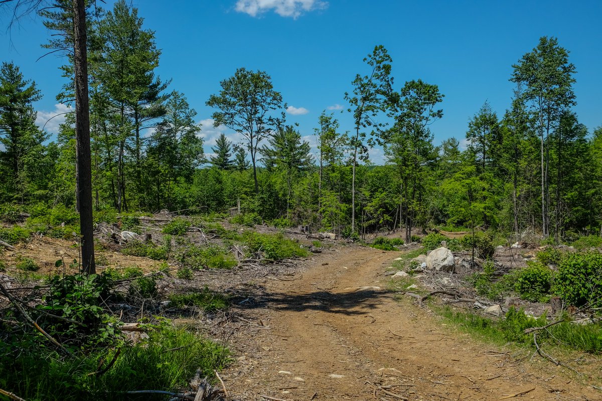 TreeHouseBrewCo's tweet photo. Once upon a time, Charlton was but a twinkle in our eye. 

The ideal of our vision - a  warm and inviting place to drink a beer and make a memory - had yet to come to fruition four years into our journey. But in the fifth year that changed when we broke ground on 68 acres on a quiet strip of Route 20 in Charlton, Massachusetts.

As you scroll through these images, you'll see an earnest sign of things to come, placed East of the area of our current entrance. The second image will look familiar and vaguely mirrors the entrance today. The third is further up the hill vaguely in the area below the existing food truck court. The fifth is in the area of the current Sunset Patio. The sixth is just past the 'Jurassic Park' sign a few days after starting clearing.  And the final image is Lauren in the exact area of the sunset patio today. 

We'll never stop looking to our past to draw inspiration for our future. We are as energized as ever at the power of a great beverage's ability to enhance life's little moments - the ones that we'll hopefully look back on as the most important ones in this life. We also try to recognize them as they are happening, which, admittedly, can be a little harder. 

Thank you for continuing to put faith in us and supporting us in our mission to build and maintain a little escape for you.