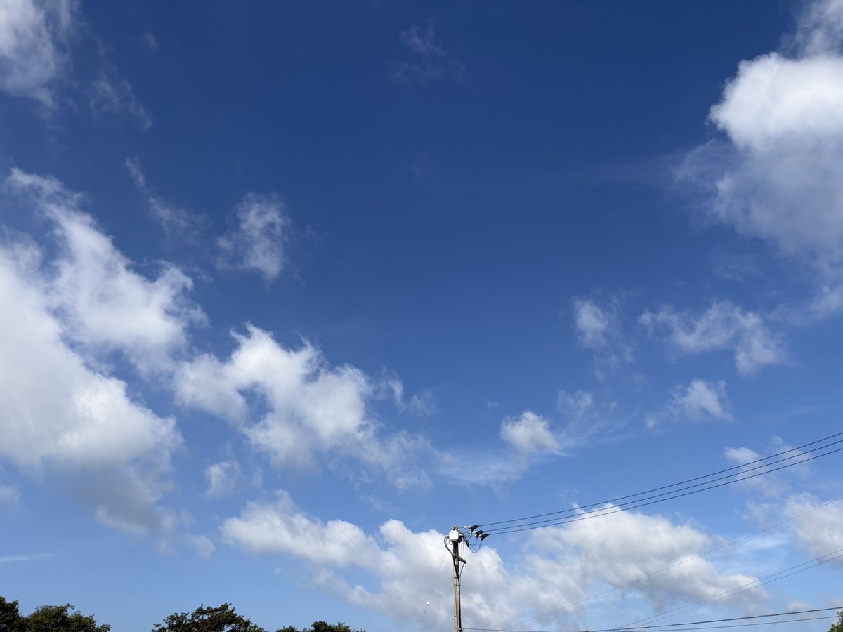 roadmade2020's tweet photo. おはようございます！
今日は晴れ☀️
久しぶりに気持ちのいい朝
サイクリング行けますね🚴‍♂️
今日も楽しんでいきましょう！

#サイクリング
#自転車
#ロードバイク
#TREK
#今日の空
#徳島
#ありがとう https://t.co/dzzw6UpmRx