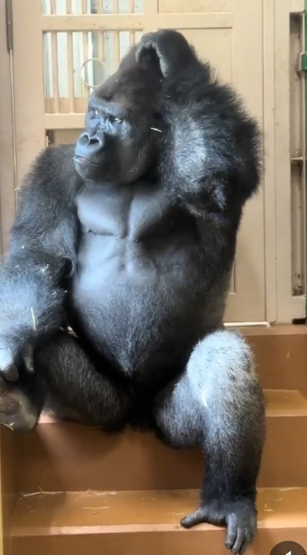Tapbitglobal's tweet photo. @AMAZlNGNATURE He like, damn what did i do to make her that mad??? https://t.co/cpTs6xptiK
