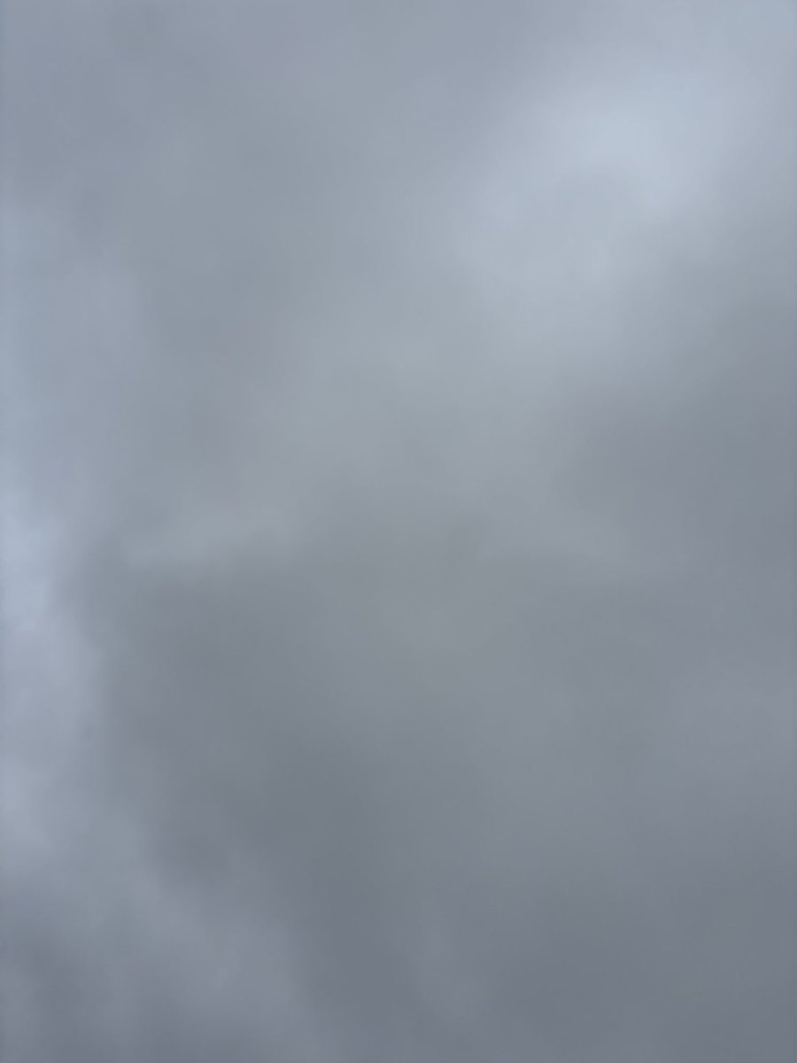 0307Jun2's tweet photo. おはようございます😄
今日は☁️20℃の予報です
今朝は涼しい、いやちょっと寒いかも💦

くるみ🐶今朝はお散歩行けました♪

#我が家の🐶
#くるみ
#今朝の空 https://t.co/JybT22uYfA
