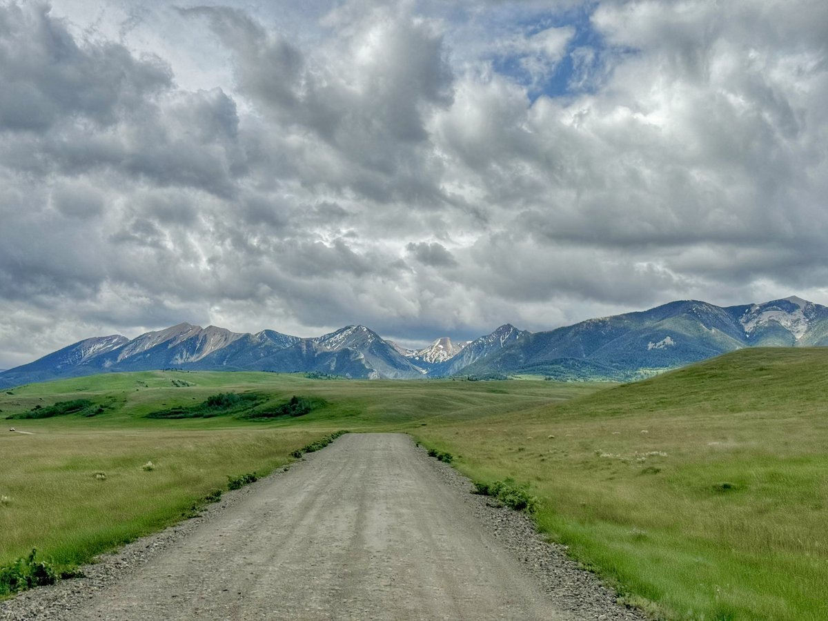 bisontattooguy's tweet photo. Today’s dirt road view from my corner of Montana. https://t.co/oxNDGFNkbE