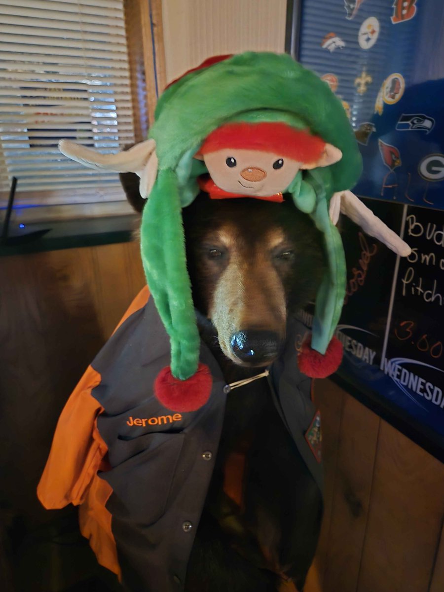 Local_Letdown's tweet photo. @elsathora We have a taxidermy black bear at the bar by my work named Jerome. This is him at the Christmas party https://t.co/6UZ7S78in4