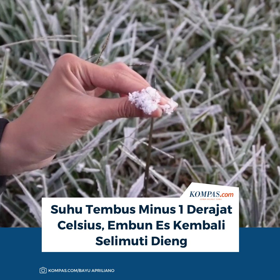 kompascom's tweet photo. Baca di sini: https://t.co/FW39LFwGAN

Fenomena embun upas kembali menyelimuti Dataran Tinggi Dieng saat suhu udara turun hingga minus 1 derajat Celsius, menciptakan hamparan kristal es yang menjadi magnet wisatawan di musim kemarau.

~IQ #embunes #embunupas #Dieng https://t.co/YS1mp6FHVJ
