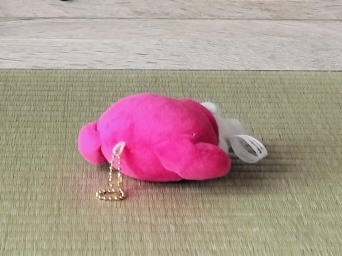 mayusan33's tweet photo. 朝活でウォーキングして子供を送り出して始業前の家事をうぉ～ってやってる途中で「疲れた！！」って床にダイブしたら同じ目線に転がってたぬいぐるみ。うつ伏せに倒れてるのにも親近感わく。こいつを拾って私も立ち上がるか……😮‍💨

おはようございます〜今日もファイティン〜 https://t.co/mNuL2sTgJn