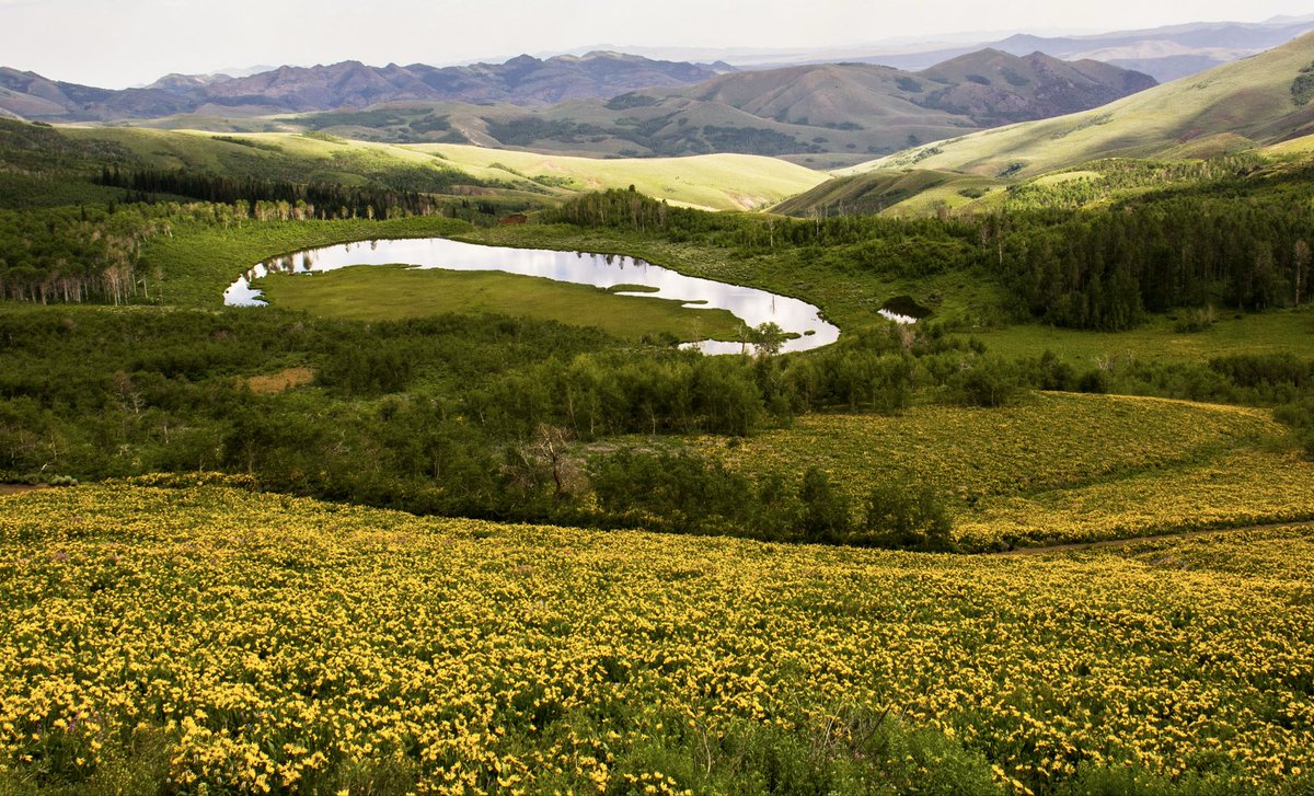 friendsofnvwild's tweet photo. BREAKING NEWS: Tomorrow morning, members of the Senate Committee on Energy and Natural Resources including Nevada's Sen. Catherine Cortez Masto may consider an amendment to S.140–Wildfire Prevention Act of 2025 that would repeal the Roadless Rule without any form of public input. https://t.co/6C9QmnsNpc