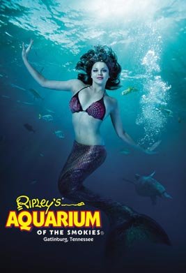 ZombieOpsCenter's tweet photo. @gemugirl @Meowfistopheles We have mermaid shows at the aquariums. 🧜‍♀️🧜‍♂️ https://t.co/7BSAfO1z90