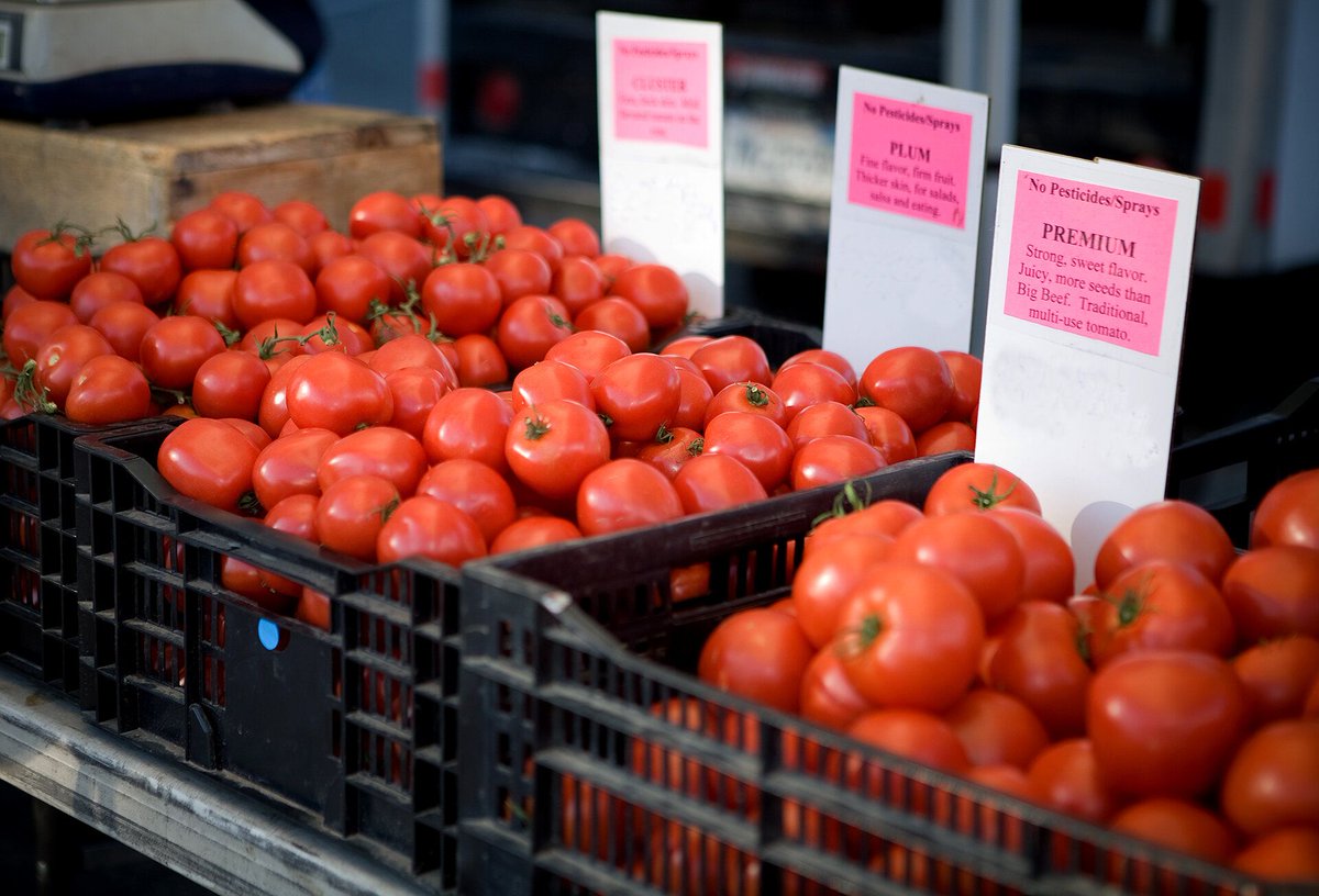 BeylikFarms's tweet photo. We’ll have all our award-winning tomato varieties for you this week including Big Beef, San Marzano, Yellow and Japanese. We’ll also have our crisp and perfect Persian cucumbers. Market info at https://t.co/nVPHYA1R7v https://t.co/Jg82bZ7sGc
