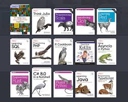 Murgoot's tweet photo. @ArjAndInCharj @codevsdev O'Reilly library https://t.co/pgGYc0D3JJ