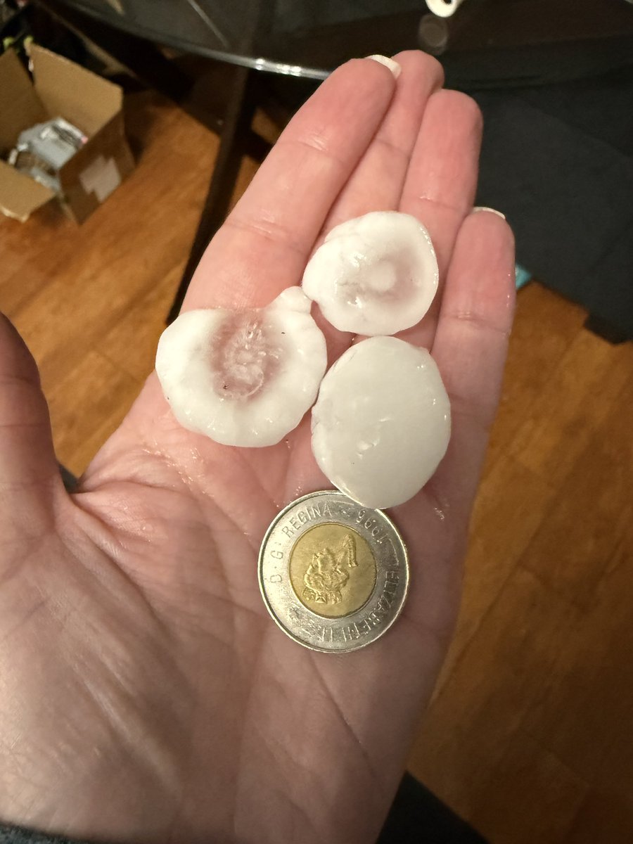 bbphoto_ca's tweet photo. Twoonie sized hail in NK in Winnipeg  #mbstorm https://t.co/wJLAxVmIDP