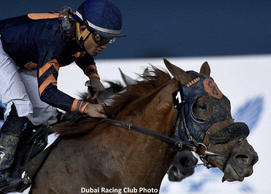 paulickreport's tweet photo. Mind Your Biscuits, the highest-earning New York-bred of all-time and the fast-starting young sire, died suddenly on Tuesday at Shadai Stallion Station in Japan.

https://t.co/yjnkQmfZgY https://t.co/WbzMefiIDY
