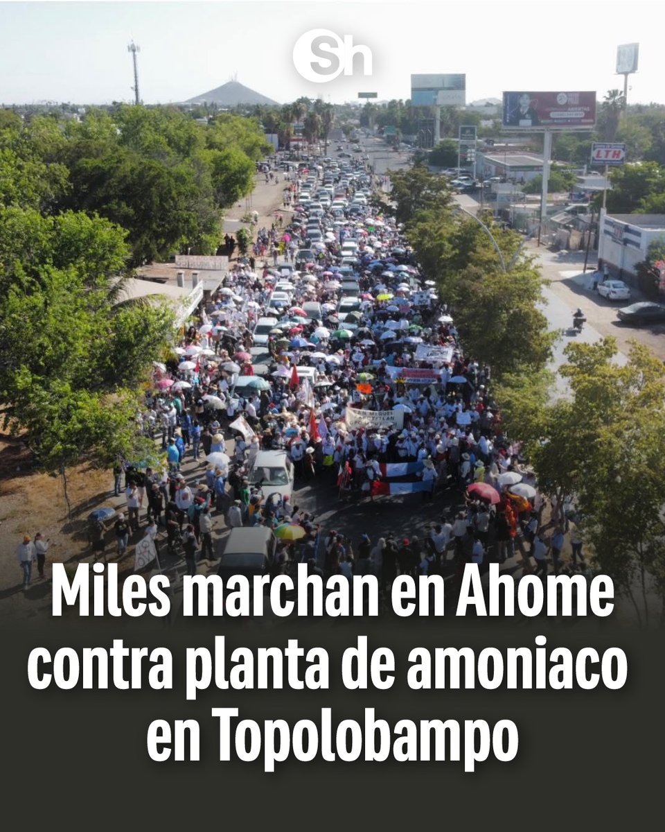sonorahoy's tweet photo. 🌊✊ Cientos de personas marcharon hacia Topolobampo para manifestar su rechazo a la planta de amoniaco que se construye en la Bahía de Ohuira.

La movilización reunió a comunidades indígenas, pescadores, activistas y ciudadanos de la región.

🔗 https://t.co/L0detEg5n7

#Topolobampo #Ahome #BahiaDeOhuira #Sinaloa #MedioAmbiente #SonoraHoy