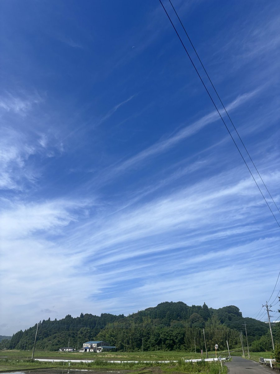 manabun0513's tweet photo. ウォーキング中
雲綺麗や https://t.co/H0svRfjcDl