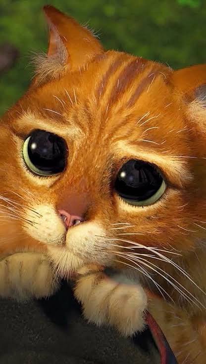 Meng warna Oyen tweet media