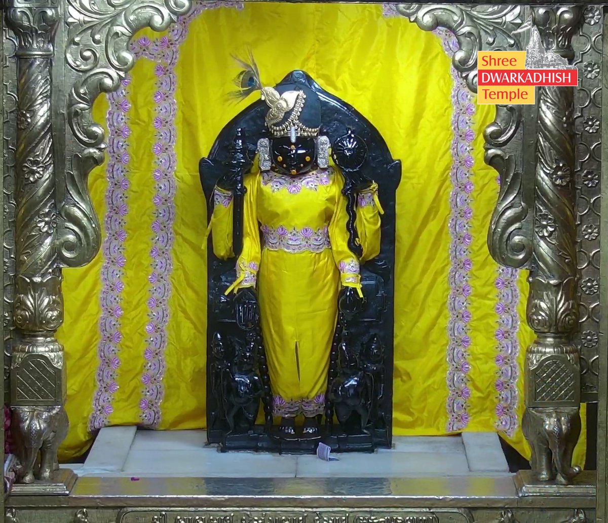 DwarkaOfficial's tweet photo. राजाधिराज द्वारकाधीश जी के मङ्गला आरती दर्शन 🙏🏻
श्री द्वारकाधीश मंदिर द्वारका,गुजरात
दिनांक :- 10/06/2026 बुधवार        
                           
#dwarka #manglaaarti
#ShridwarikadhishmandirOfficial https://t.co/mK9gRs5qcq