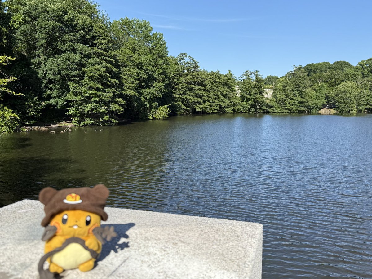 dedizzle702's tweet photo. A photo together by the lake 🥰🐹🧡✨ https://t.co/GVbmorptmI