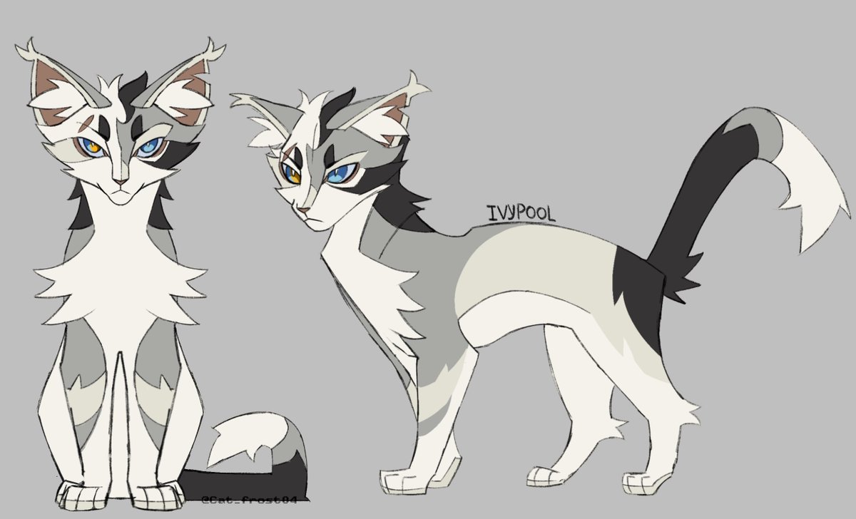 Cat_Frost04's tweet photo. I think this #Ivypool can combo with Hawk
#warriorcats https://t.co/gim3hqN3Gj